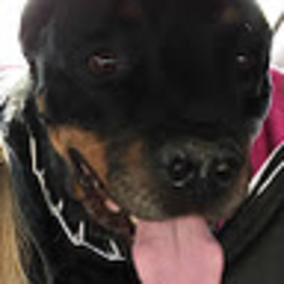 Meet your Posher, Shannon - Picture 1 of 1